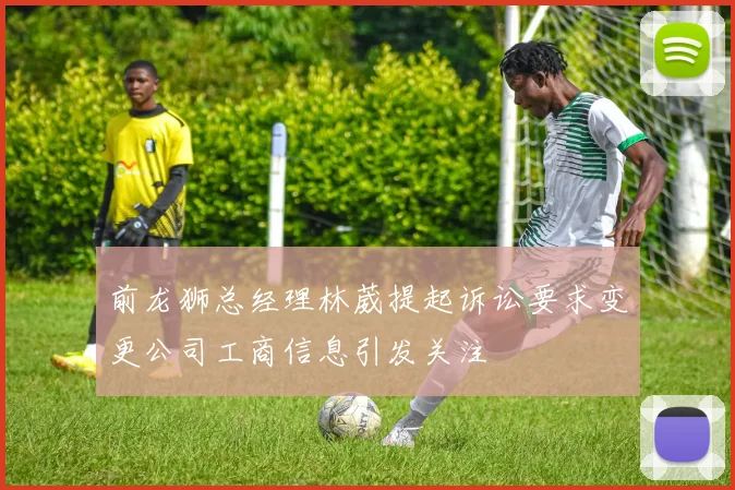 前龙狮总经理林葳提起诉讼要求变更公司工商信息引发关注