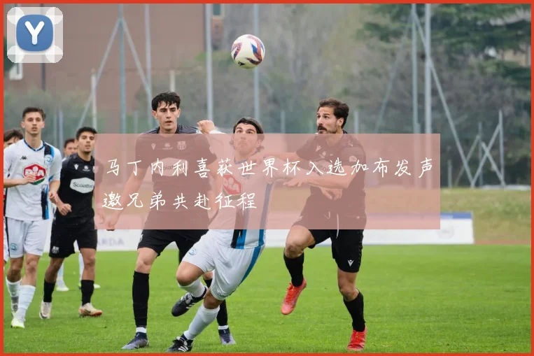 马丁内利喜获世界杯入选加布发声邀兄弟共赴征程